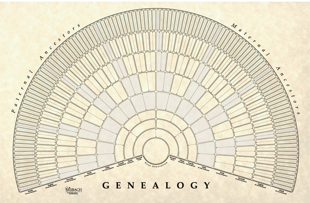 Buy TreeSeek Genealogy Fan Wall Chart | Large Blank Fillable Pedigree ...