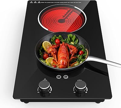 QTYANCY Electric Cooktop, 110V 2 Burner Electric Stove 9 Power Level, Kids Lock, Overheat Protection, 12 Inch Built-in Hot Plate for Cooking