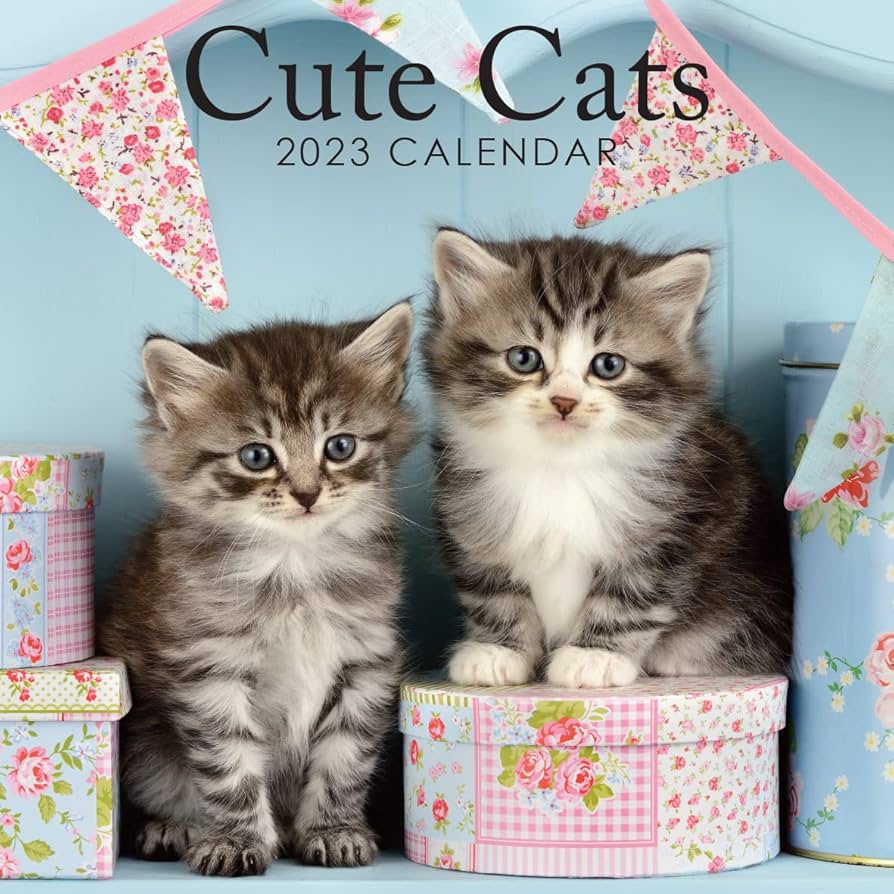 2024 Cute Cats Kittens Square Hanging Wall Calendar with Stunning ...