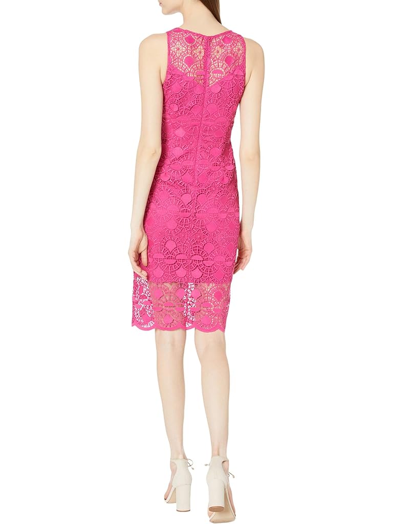 Adrianna Papell Sunrise Lace Illusion Sheath Dress