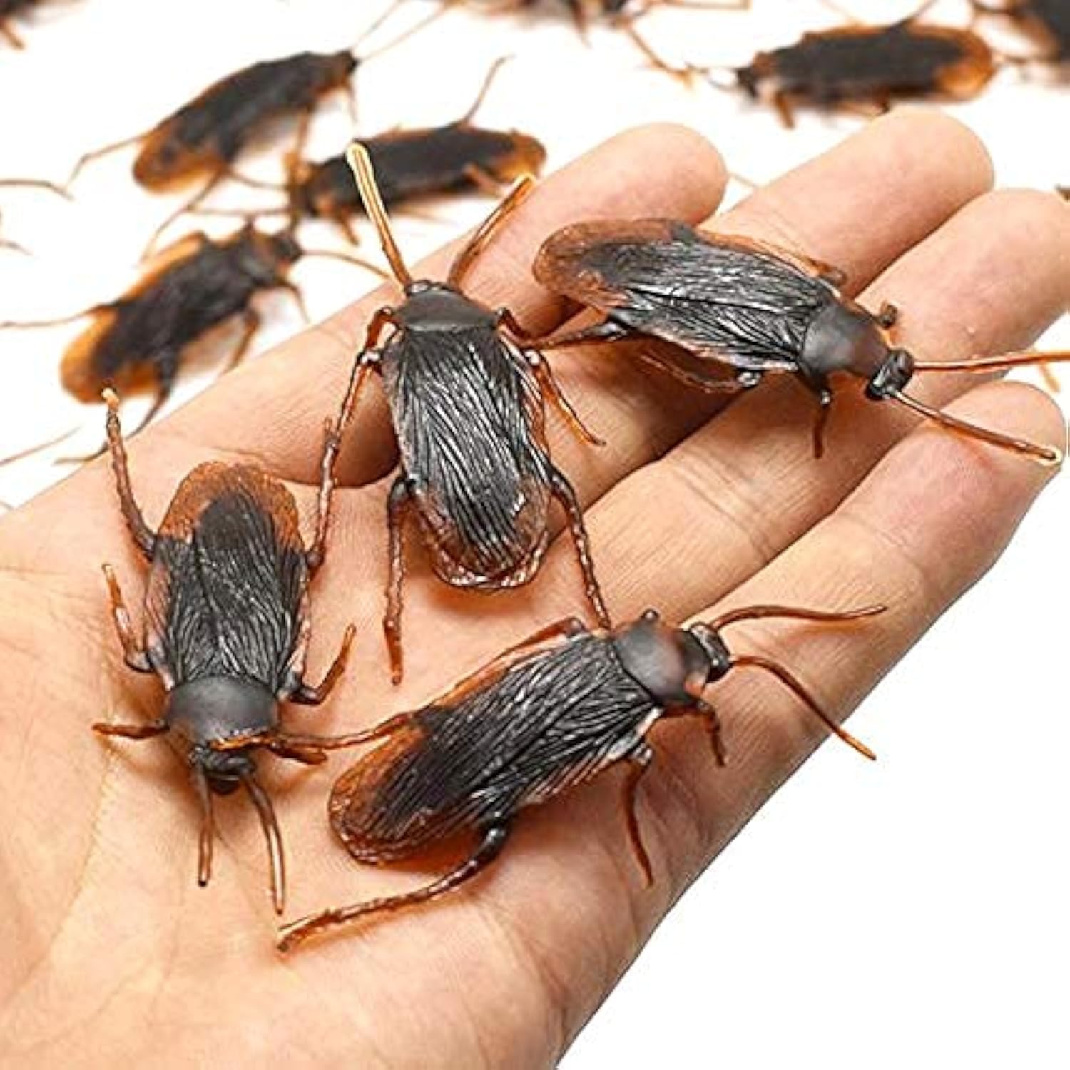 Ksquares Prank Fake Roaches, Favorite Trick Joke Toys Look Real, Scary Insects Realistic Plastic Bugs, Novelty Cockroach for Party, Christmas, Halloween (5)