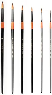 HWAHONG Artist Watercolor Paint Brush700R, Round Brush_Set of 6 Brushes