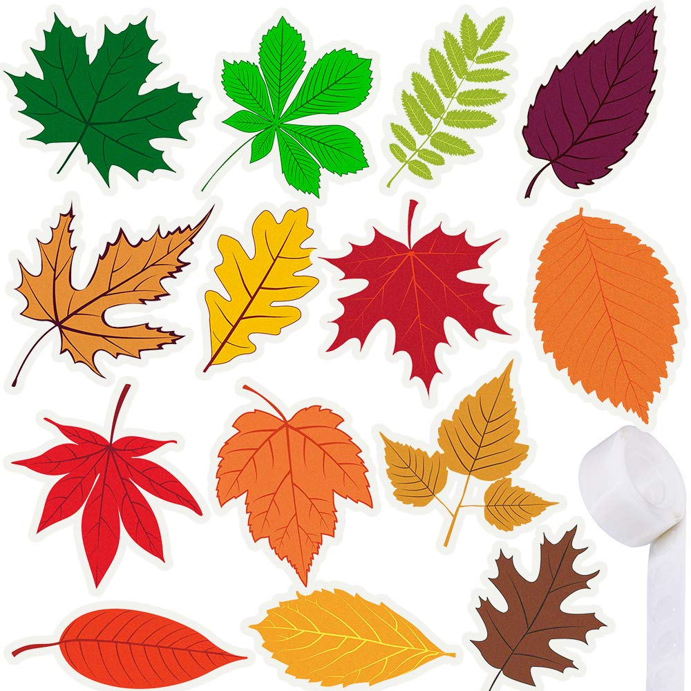 Buy Supla 70 Pcs Fall Leaf Cutouts Fall Cardboard Cutouts Autumn ...