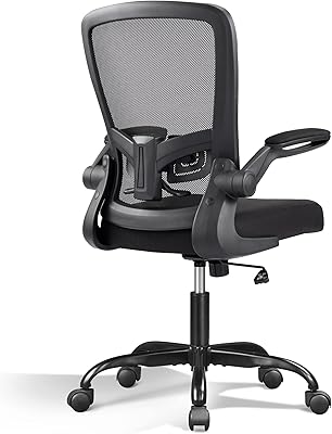 DEVAISE Mesh Office Chair, Ergonomic Computer Chair with Flip-up Arms and Lumbar Support, Tall Adjustable Desk Chair 300 lb Capacity, Black