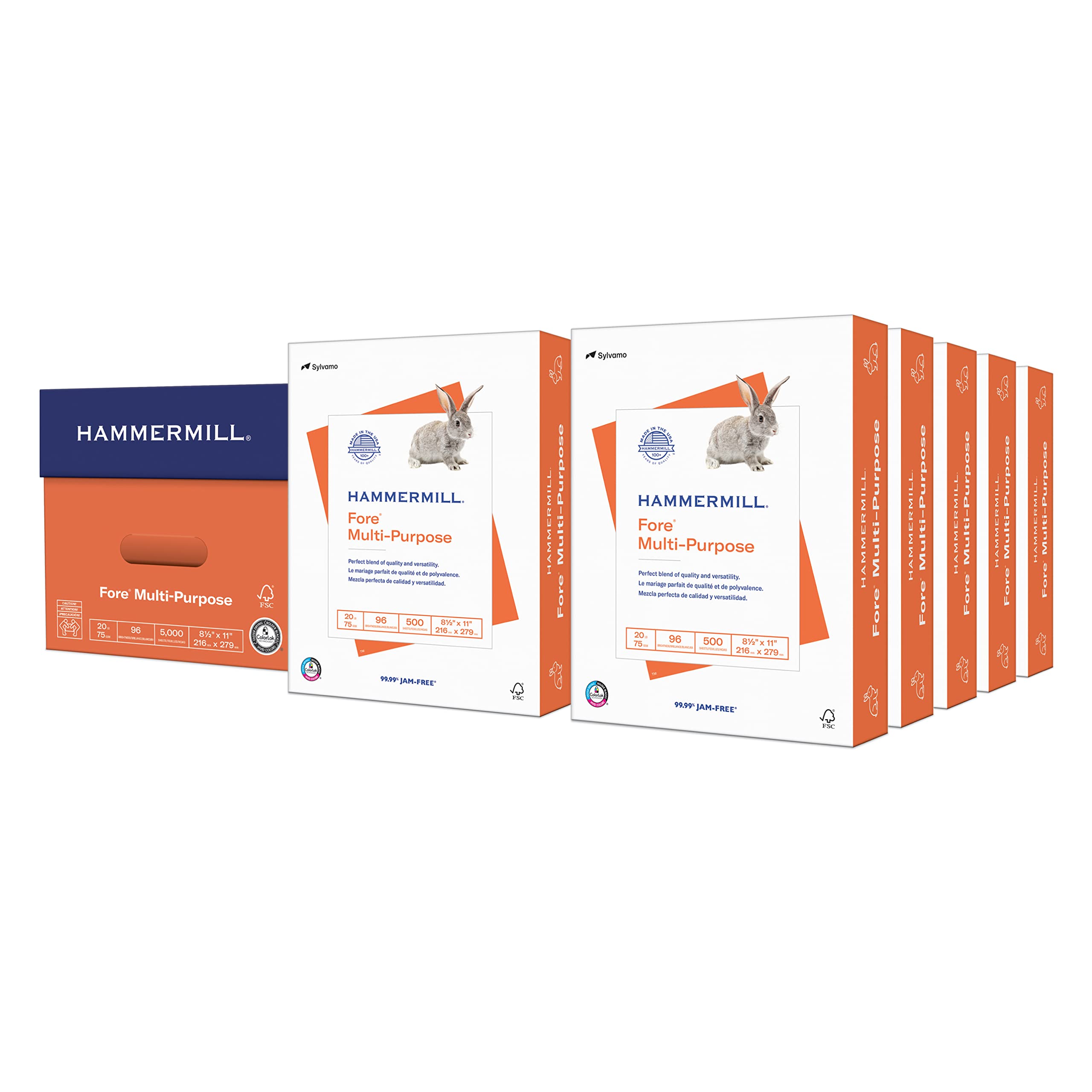 Hammermill Printer Paper, Fore Multipurpose 20 lb Copy Paper, 8.5 x 11-10 Ream (5,000 Sheets) - 96 Bright, Made in the USA, 103267C