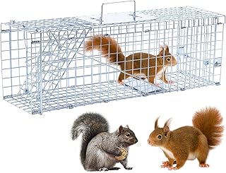 24” Humane Animal Trap Live Animal Trap Cage for Squirrels Small Stray Cats Rabbits Groundhogs Moles Gophers and Chipmunks...