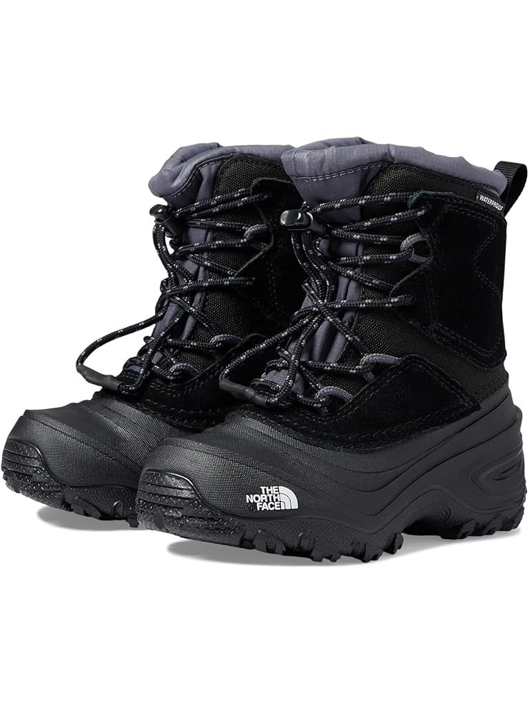 Black The North Face Kids Alpenglow V Waterproof (Toddler/Little Kid/Big Kid)