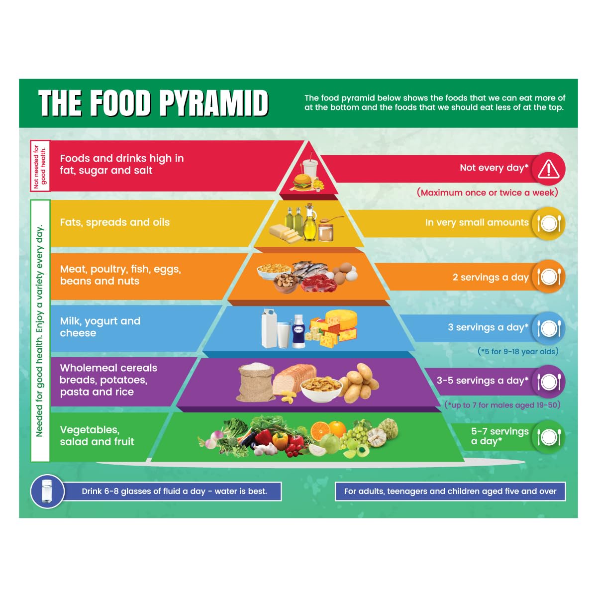 Buy y Food Pyramid Chart for Kids Learning, Food Pyramid for School ...