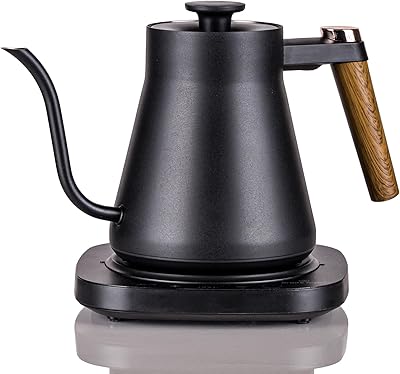 Brod & Taylor Electric Water Kettle – Quick Heating with Temperature Control, Stainless Steel, Gooseneck Spout for Coffee, Tea