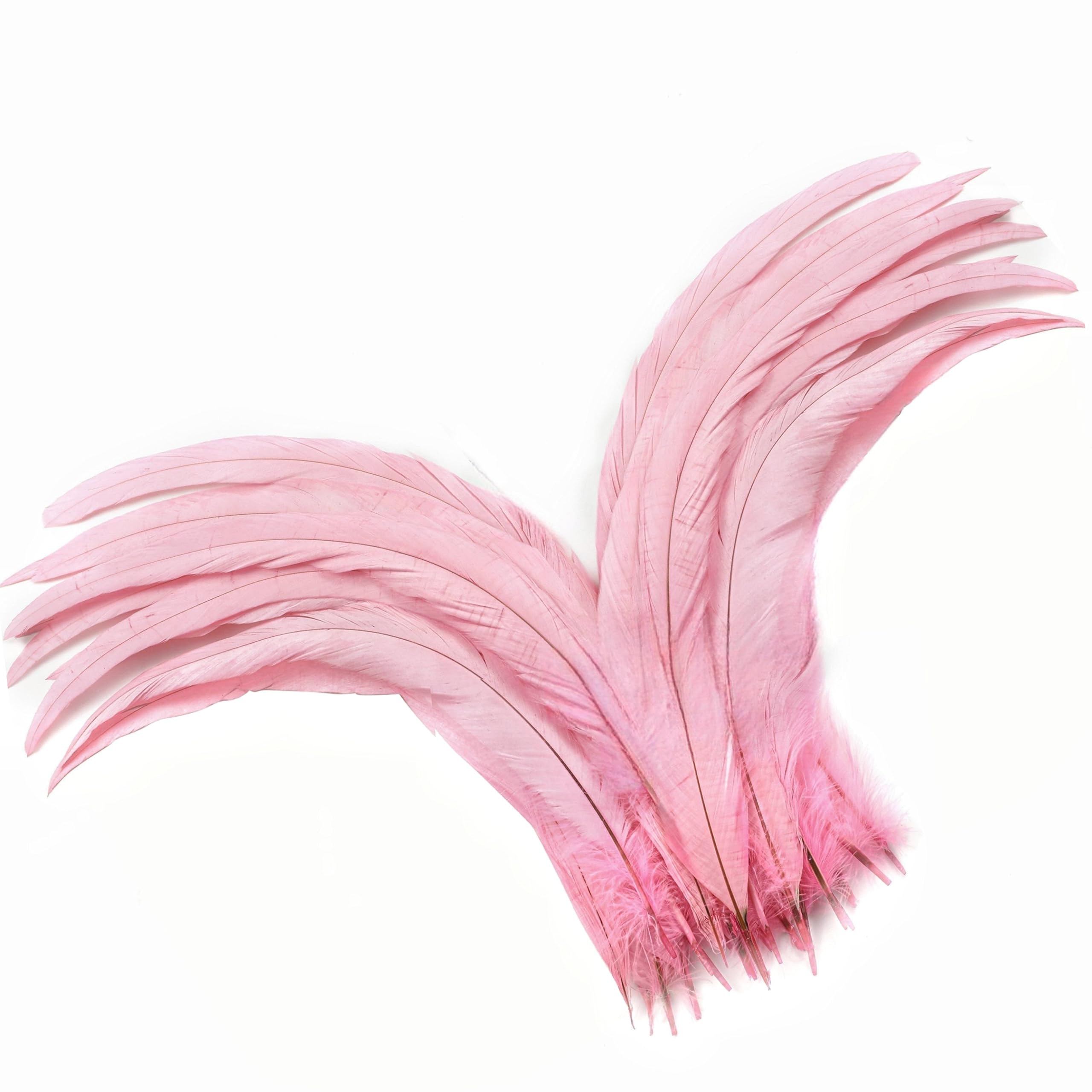 Holmgren Pink Rooster Tail Feathers - 60pcs 12-14inch Natural Long Rooster Tail Feathers Bulk for DIY Crafts Hats Costume, Holiday Themed Party Decoration (Pink)