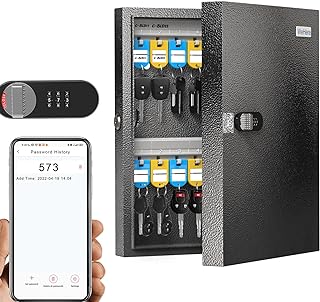 WeHere 32 Key Lock Box with Dual Lock, Combination & Key Unlock, Key Cabinet Wall Mount with Key Tag Label, Key Holder Sto...