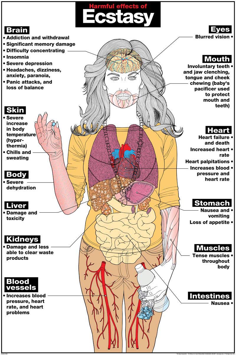 Effects Of Ecstasy On The Brain