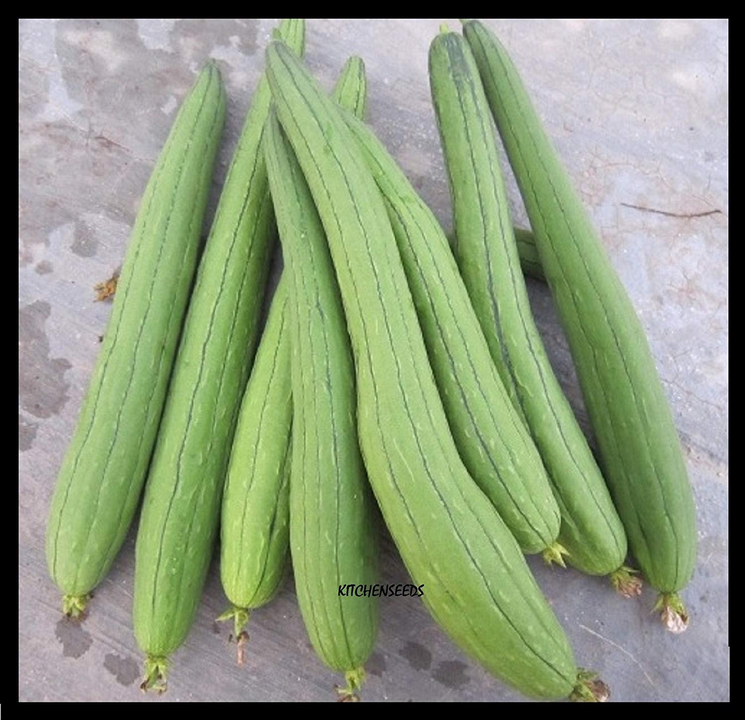 (20) Asian Vegetable Edible Luffa Seeds, Long Smooth Sponge Gourd, Muop Huong by Kitchenseeds