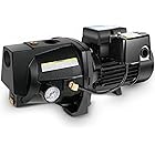 Acquaer 1HP Shallow Well Jet Pump,Cast Iron, Well Depth Up to 25ft, 115V/230V Dual Voltage, Automatic Pressure Switch