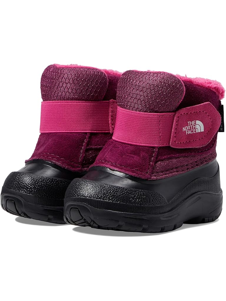 Black The North Face Kids Alpenglow II (Toddler)