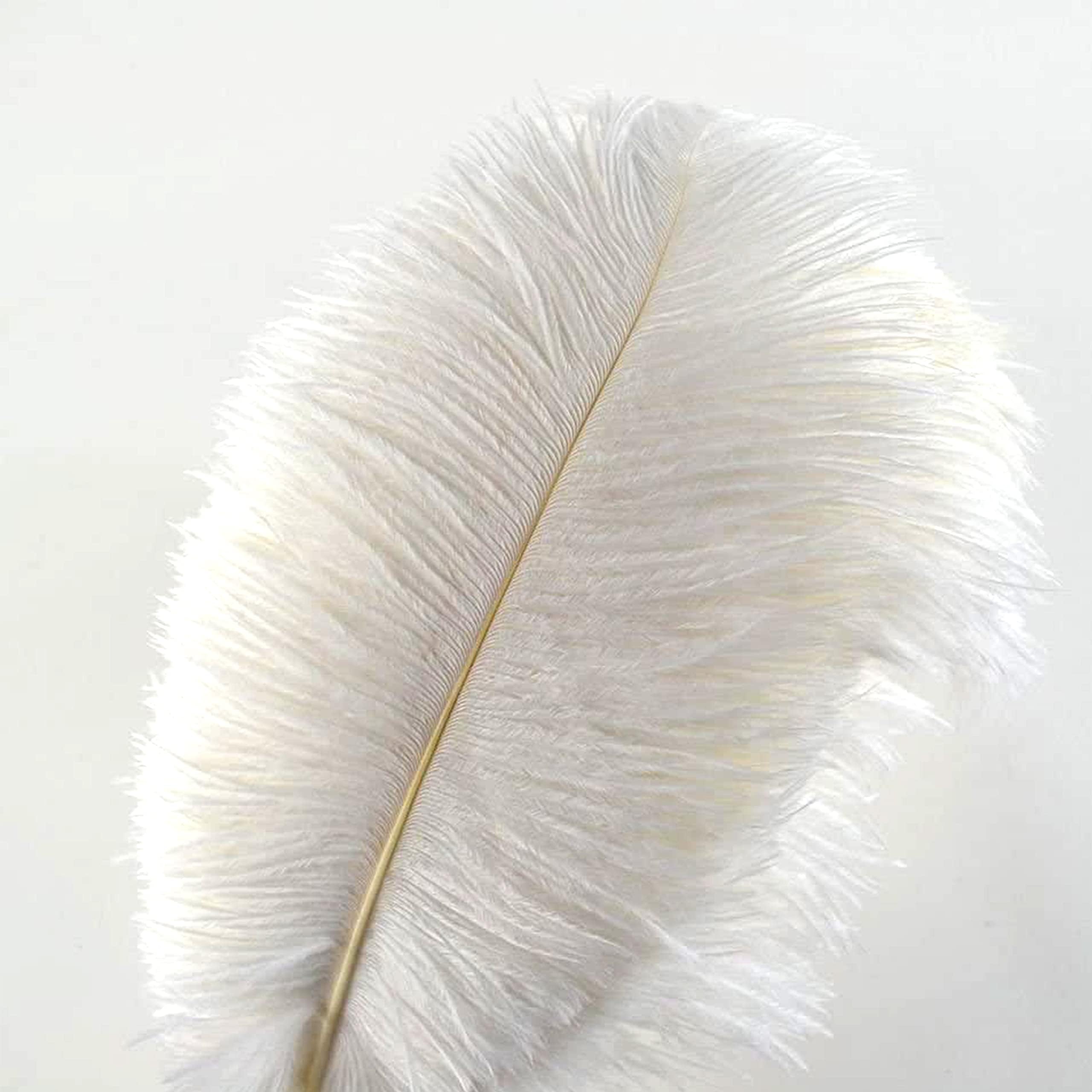 KOWVOWZ 10pcs White Natural Ostrich Feathers 14-16" (30-45cm) Long for Wedding Centerpieces, Home, Decorating Costumes, Embellishment, Art & Craft, Parties (35-40cm)