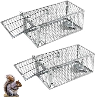 Humane Squirrel Trap - 2 Pack, Rat Trap That Works 12.5"x6.5"x5.5", Small Rodent, Chipmunk Trap Cages | Catch and Release...