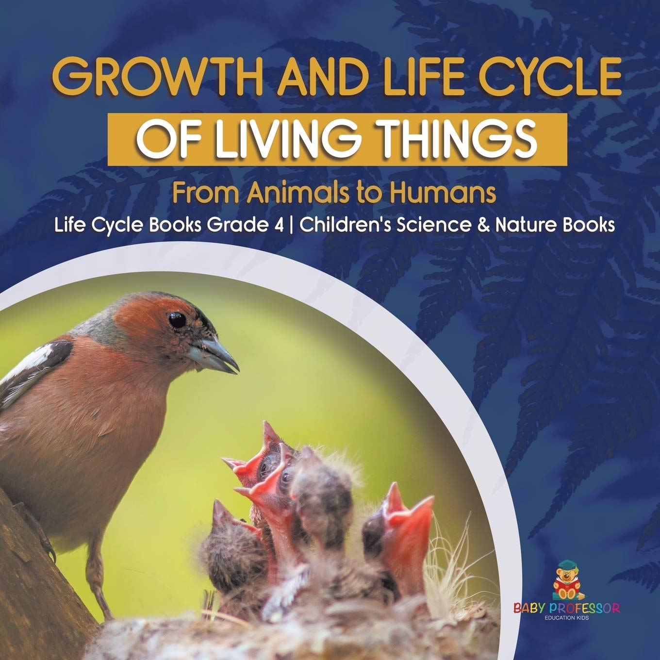 Buy Growth and Life Cycle of Living Things: From Animals to Humans Life ...