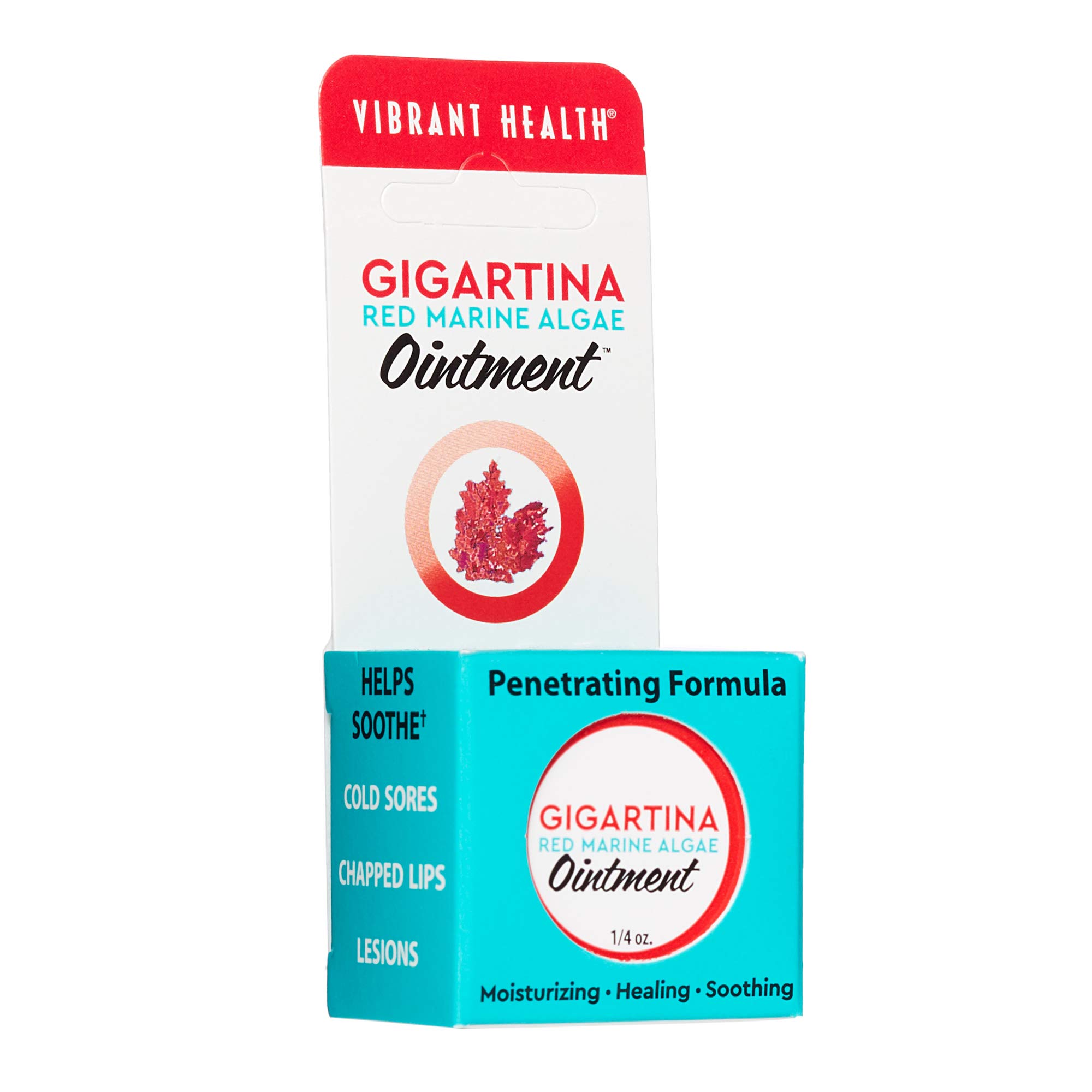 Vibrant Health - Gigartina Red Marine Algae Ointment, Natural Support for Immune Function and Healing with RMA, Shea Butter, and Vitamin E, 1/4 Ounce