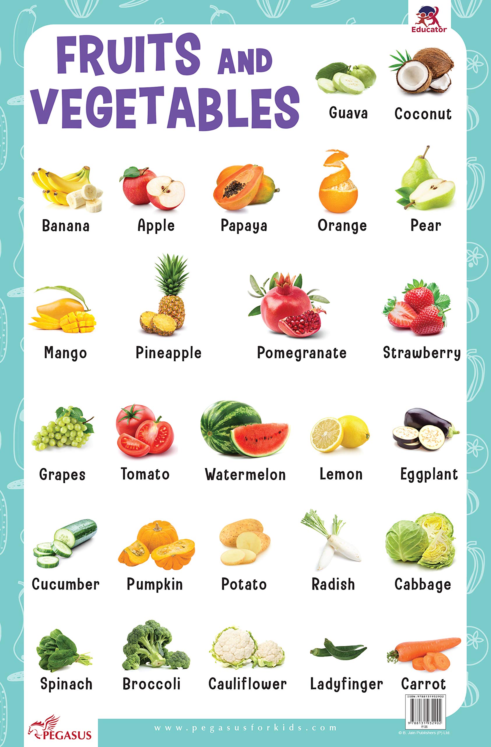 Fruits & Vegetables - Thick Laminated Preschool Chart | Sansuva Healthcare