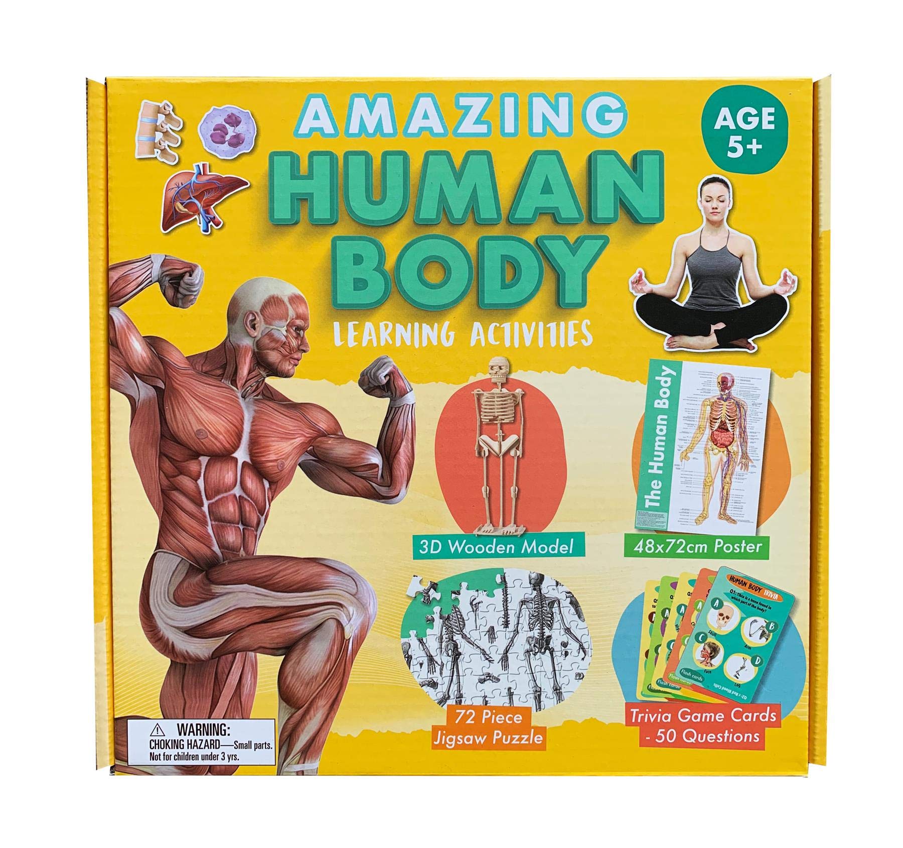 Buy Amazing Human Body Learning Activity Set | Includes 3D Model ...