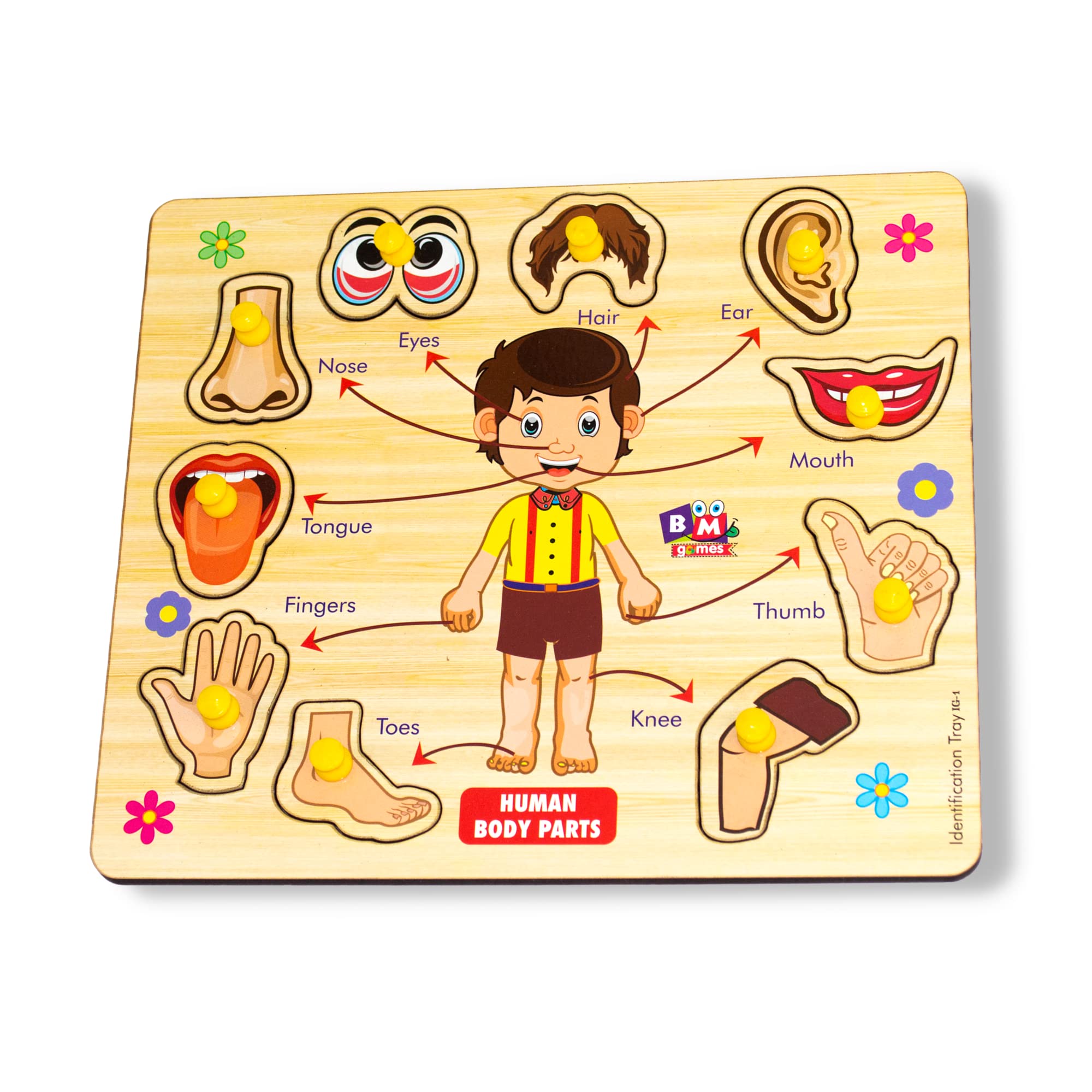 Buy BuGBee Body Parts Toddler Puzzles for Kids Ages 2-4-8 Montessori ...