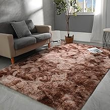 Shag Rugs Fluffy Area Rugs 4x5.2 Ft, Large Tie-Dyed Plush Fuzzy Rugs, Ultra Soft Modern Furry Rugs for Bedroom, Anti-Skid ...