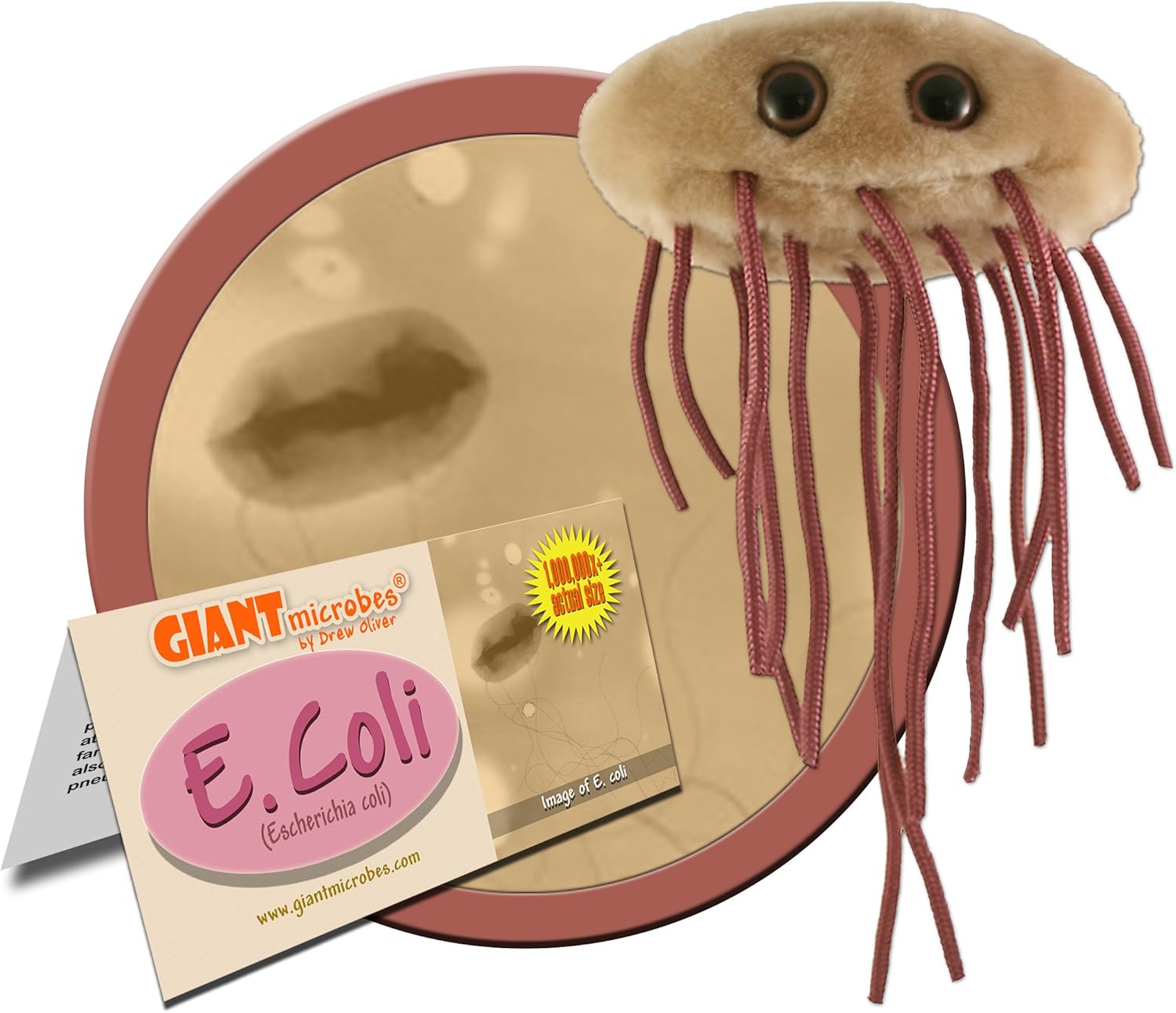 Giant Microbes peluche de tejido suave en forma de E Coli escherichia Coli