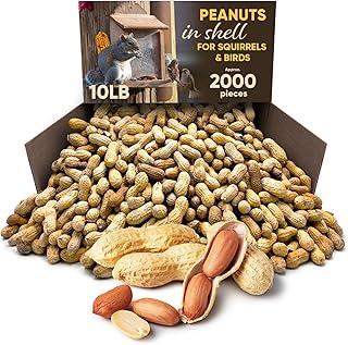 CHAIN & JO SWEETS Peanuts for Squirrels - Roasted Unsalted Peanuts in Shell Bulk 10 Pounds Approx 2000 Pieces - Ideal Food...