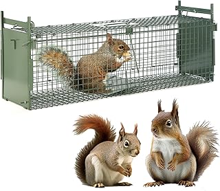 26" 2-Door Live Animal Traps for Stray Cats up to 5.5 pounds, Raccoons, Squirrel, Skunk, Mole, Groundhog, Armadillo, Rabbi...