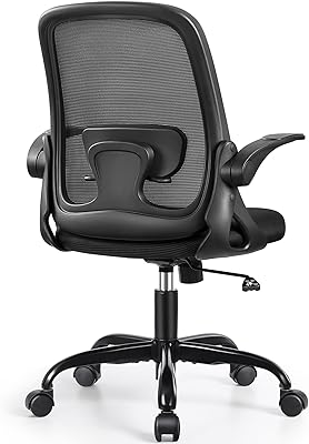 Winrise Office Chair Ergonomic Desk Chairs with Lumbar Support and Flip-up Arms, Comfortable Breathable Mesh Computer Executive Chair with Swivel Task, Adjustable Height 4'', Home - Black