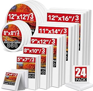 24 Pack Canvases for Painting with 4"x4", 5"x7", 8"x10", 9"x12", 11"x14", 12"x16", Round Canvas with 12"x12", 8"x8", 3 of ...