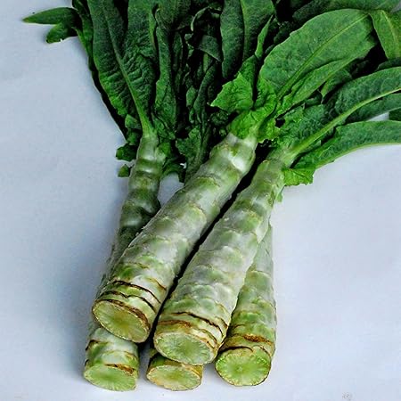 Lettuce Seeds - Summer 38 Celtuce - 2 g Packet ~1332 Seeds - Non-GMO, Heirloom - Vegetable Garden