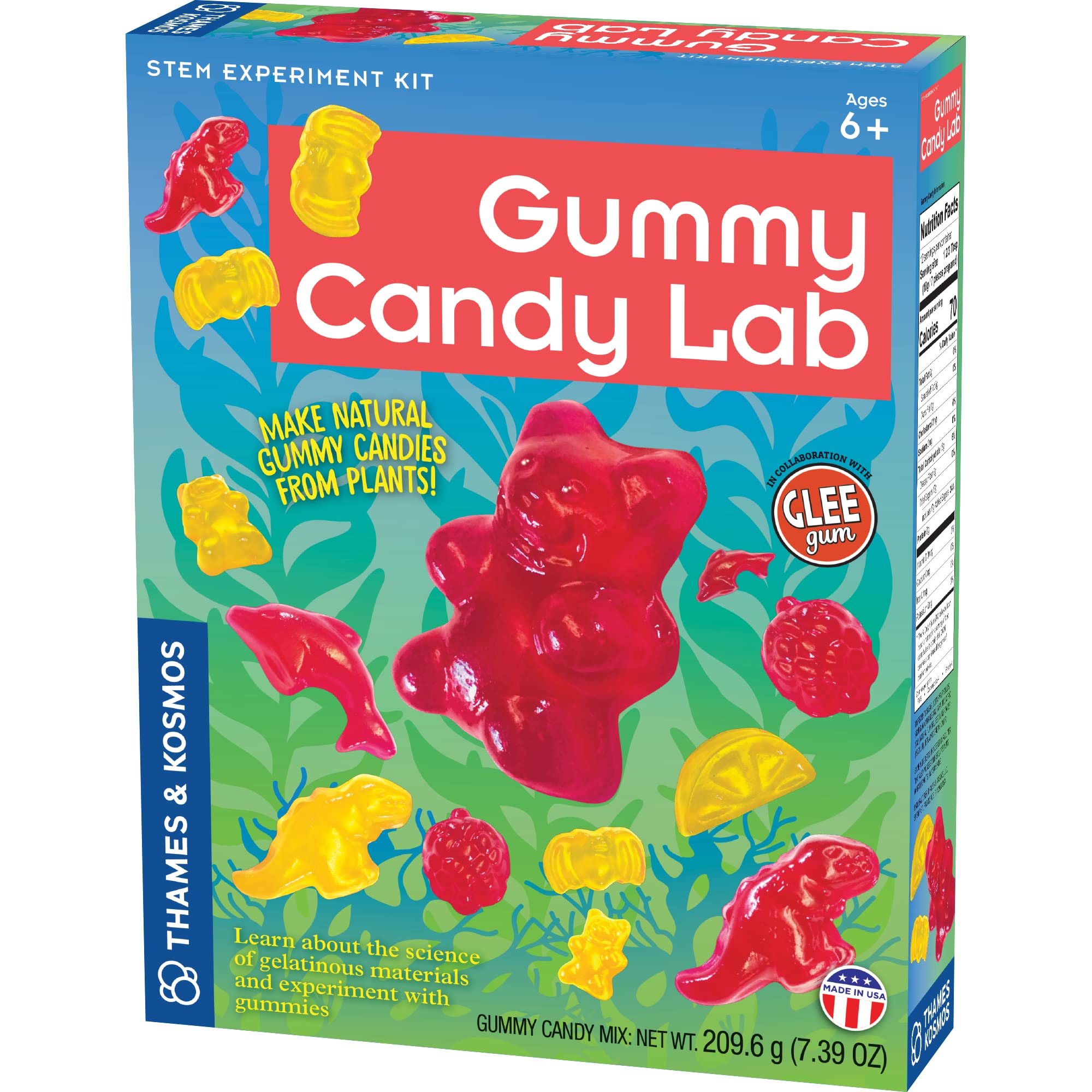 Buy Thames & Kosmos Gummy Candy Lab - Bears, Fruit, Dolphins ...