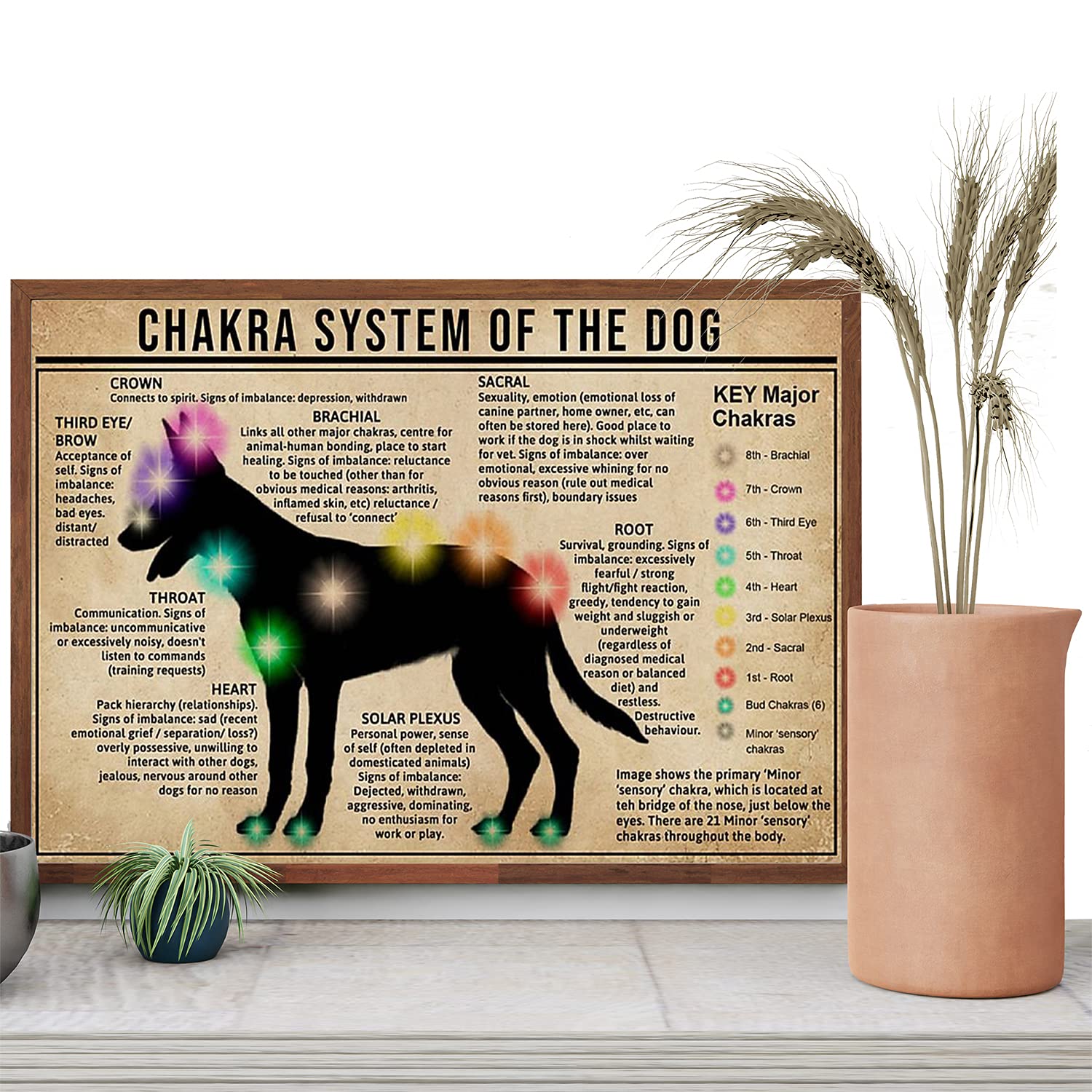 Buy Anatomical Dog Knowledge Printing, Chakra Chart Of Body Dog Parts ...