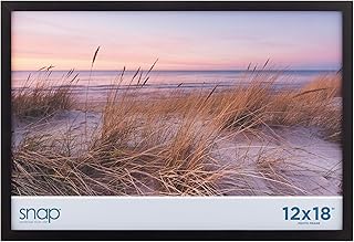 Gallery Solutions - Size 12"x18" - Picture Frame - Black Design for Wall Mounting - Horizontal Wall Mount - Poster Frame -...