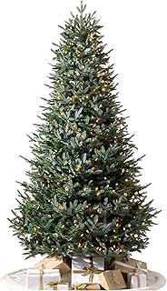 Balsam Hill 6ft Pre-Lit European Silver Fir Artificial Christmas Tree with LED Clear Lights