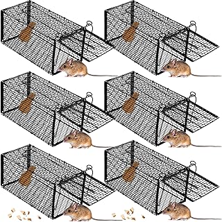 Qualirey 6 Pcs Humane Rat Trap Small Chipmunk Mouse Squirrel Cage Trap Rodent Animal Mice Voles Hamsters Cage Catch and Re...