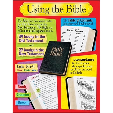 Amazon.com: USING THE BIBLE LEARNING CHART : Office Products image.