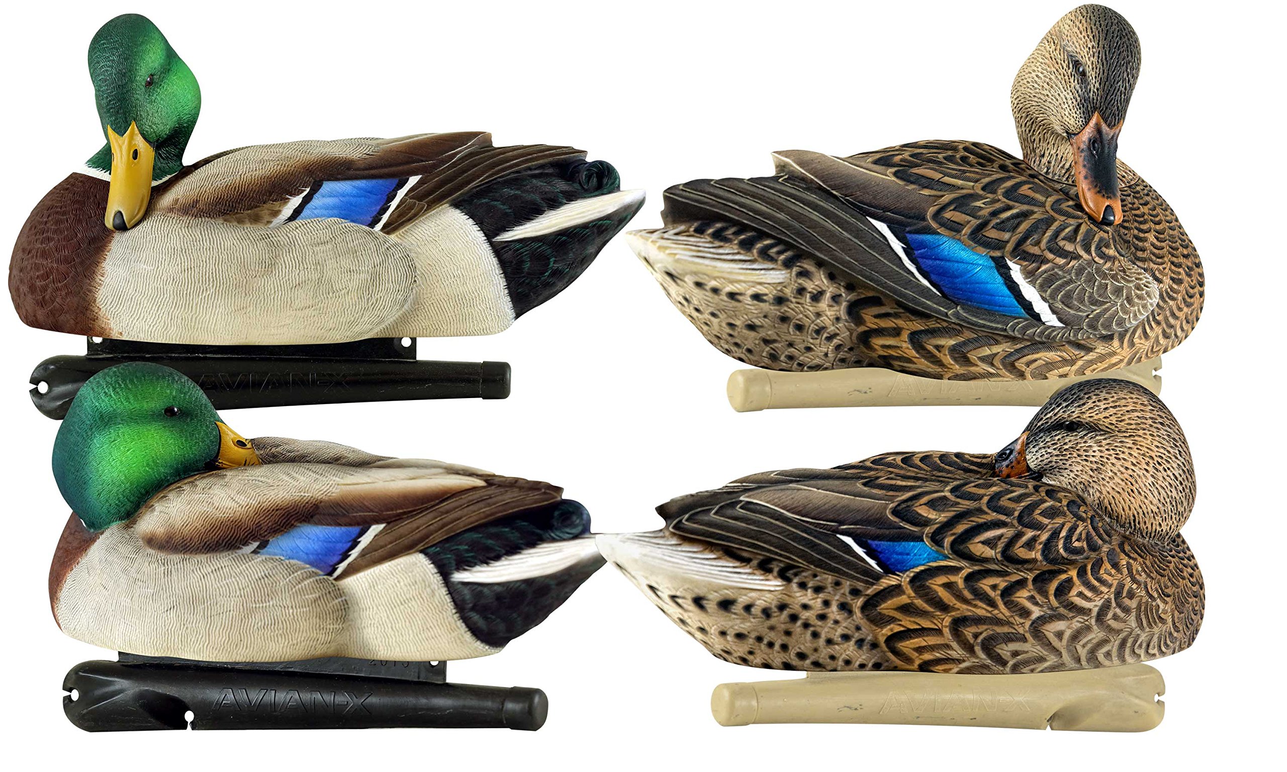 Decoy duck patterns