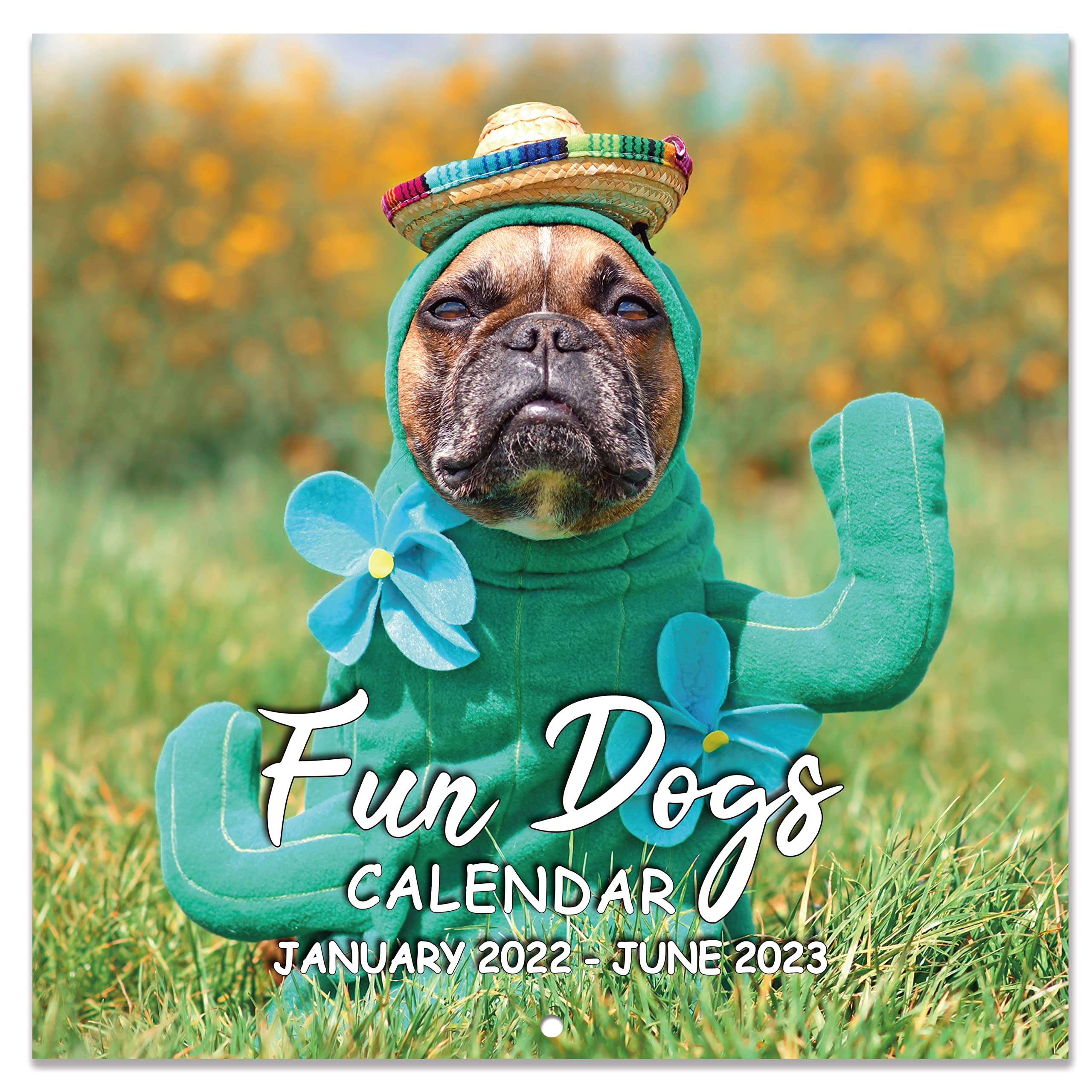 Buy 20222023 Wall Calendar Fun Dogs Wall Calendar 20222023, Cute