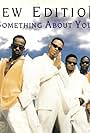 New Edition: Something About You (1996)