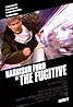 The Fugitive Poster