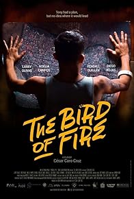 Primary photo for The Bird of Fire