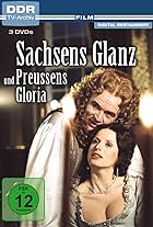 Sachsens Glanz und Preußens Gloria: Brühl