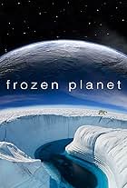 Frozen Planet (2011)