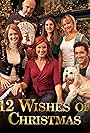 Gabrielle Carteris, Elisa Donovan, Michael Gross, David O'Donnell, Sarah Thompson, Chonda Pierce, and Ariana Nicole George in 12 Wishes of Christmas (2011)