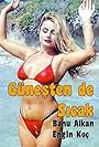 Günesten de Sicak (1987)