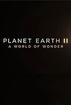 Planet Earth II: A World of Wonder (2017)