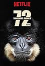 72 Dangerous Animals - Asia (2018)